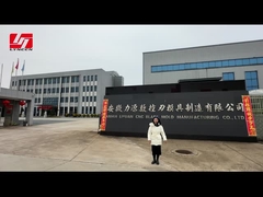 Video zur Werkseinführung